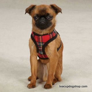 East Side Collection Holiday Tartan Small Dog Harness