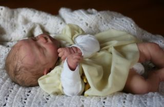 Naomi Reborn Doll Kit Created by Donna Lee Pre Sell