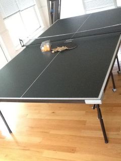 ping pong table PICK UP ONLY Diamondhead ms