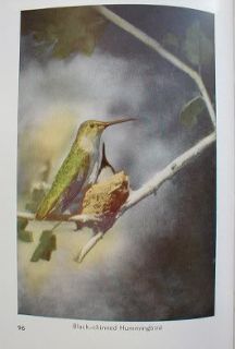 Familiar Birds of The Pacific Southwest Dickey 1935