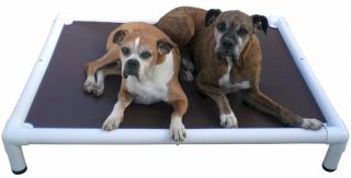  Chew Resistant Elevated Dog Bed Cot By Berkers Dog Beds