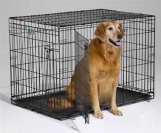  42 Inch double Door Dog Crate Kennel travel Cage Model 1542DD I Crate