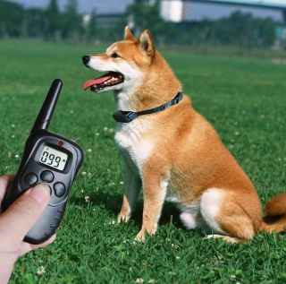  Display Shock Vibra Remote Pet Dog Training Collar LED Collar