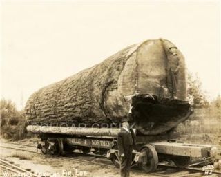 Huge Douglas Fir Log On A Marysville & Northern Railroad Flat Car