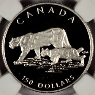 1992 Canada 1 2 oz Platinum Endangered Wildlife Cougar $150 NGC PF69