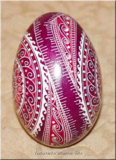 Pysanky Ukrainian Easter Eggs Trypillya GOOSE Egg Pysanka