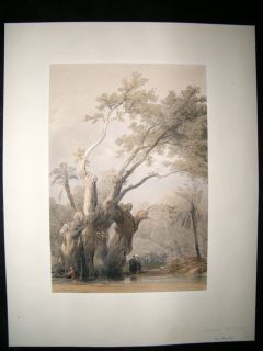 David Roberts Egypt DELUXE Ed 1842 Holy Tree, Metereah. Lithograph