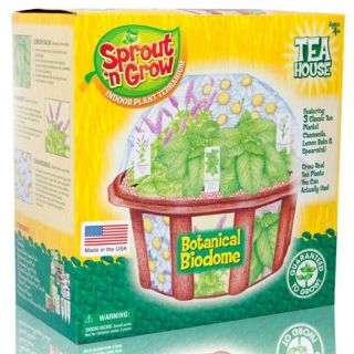 DuneCraft Sprout n Grow Tea House Botanical Biodome Grow 3 Classic Tea