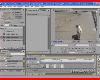 Adobe Suite CS3 Training 5 DVDs Photoshop Premiere Dreamweaver