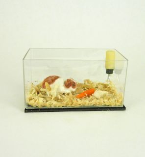 Dollhouse Miniature Artist Alice Zinn Guinea Pig Cage