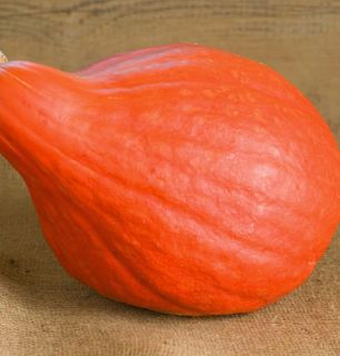 Red October Pumpkin 10 Seeds Ornamental Edible