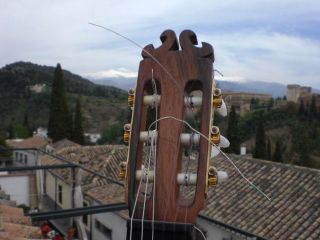  de Concierto Millenium Classical Concert guitar Granada 1292415369