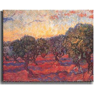 House Beautiful Marketplace Olive Grove by Vincent Van Gogh   Canvas