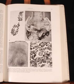 1963 2vols Pathology of Domestic Animals Jubb Plates