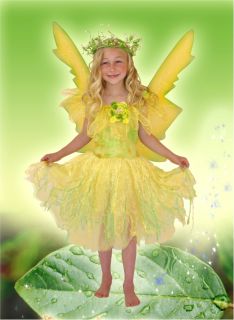 Flower Fairy Princess Dress Boutique QLT Costume 8 9 10