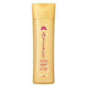 Kao Japan Asience Inner Rich Shampoo Conditioner Set