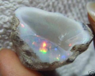 58ct Ethiopian Big Wello Opal Opale NR43 with Video