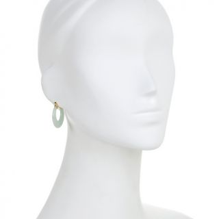technibond opaque gemstone hoop earrings d 00010101000000~194778_alt3