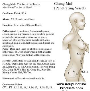 The Eight Extra Extraordinary Acupuncture Meridians Chart
