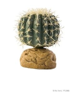Exo Terra Reptile Terrarium Plant Barrel Cactus Small
