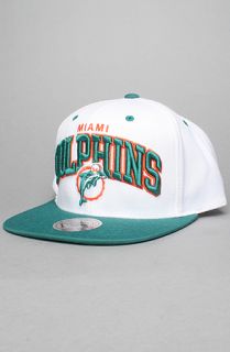 Mitchell & Ness The White Arch Snapback Hat in White Green : Karmaloop