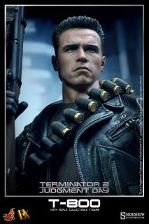 Hot Toys DX 10 Terminator 2 T2 T 2 1991 Judgment Day T 800 Arnold