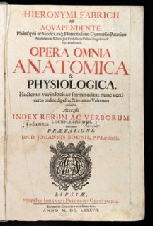 Fabricius AB Aquapendente Opera Omnia 1687 Embryology Anatomy 62