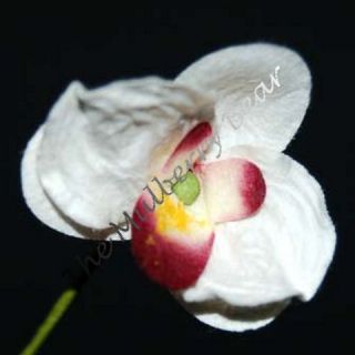 10 Mini Orchids Mulberry Paper Mini Farland Flowers Embellishments