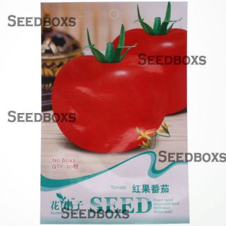 Big Red Tomato Ornamental Flower Seed Garden Decor 20pcs 1 Bag