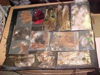 Large Assortment of Feathers Fly Fishing Material L K