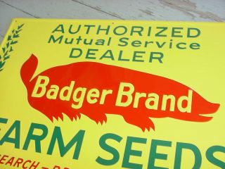   MINT 1940s Vintage BADGER BRAND FARM SEEDS Graphic Embossed Tin Sign
