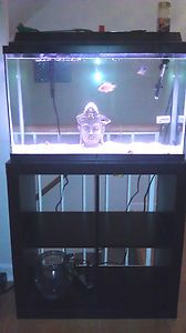 29 Gallon Aquarium Fish Tank Stand Hood Light Heater Filter Accessor