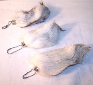 Small Fox Tail Key Chain Foxes Wild Animal Fur Sport