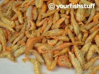 Sun Dried Freshwater Shrimp Bulk Fish Food 1 4 Lb