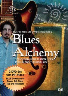 Blues Alchemy Guitar Improvisation Lessons Learn How to Play Video 2