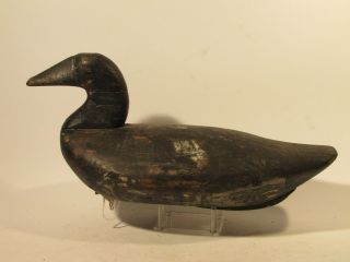  Canvasback Blackduck Duck Decoy by Lum Fletcher c1910 Gabler