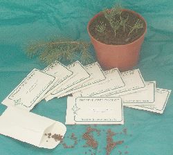 Great for teaching seed planting, gifts, fundraisers, or as a
