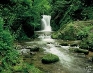 BLACK FOREST WATERFALL FULL SIZE WALL MURAL