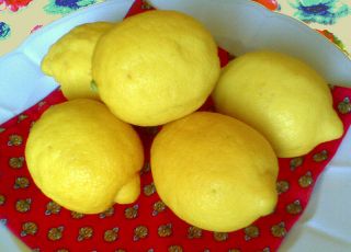 Fresh Lemon Tree Seeds Var Femminello or Lemon of Syracuse Citrus