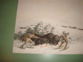 George Catlin North American Indian Litho Buffalo Hunt