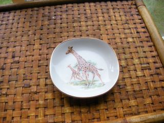  Royal Falcon Ware Collector Plate Weatherby Hanley Giraffes