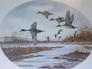 David Hagerbaumer Hand Signed and Numbered L E Print Pintail Ducks