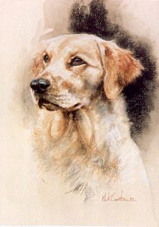 Golden Retriever Gun Dog Fine Art Limited Edition Print