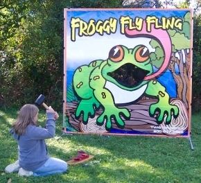 Froggy Fly Fling Giant Frame Game