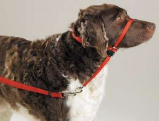 Premier Dog Gentle Leader Head Collar Large Red
