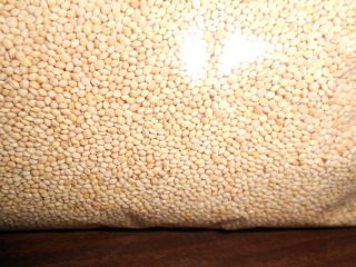 Natural Unhulled Millet 5 lbs Gluten Free