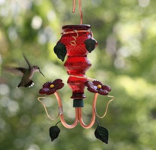 Crystal Red Double Port Glass Hummingbird Feeder Perry