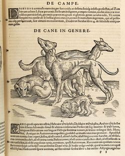 Gesner Historiae Animalium Quadrupedibus Viviparis 1551 82 Woodcuts