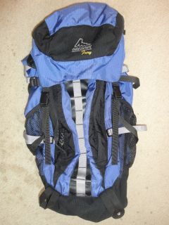 Gregory Fury Backpack Blue