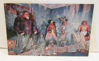 Vintage Dark Ride Jungle Natives Gorilla Amusement Park Postcard